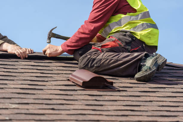 Best Roof Gutter Cleaning  in Greenville, VA