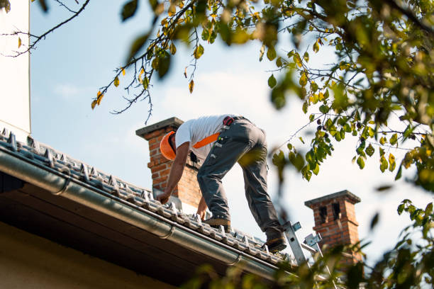 Best Storm Damage Roof Repair  in Greenville, VA