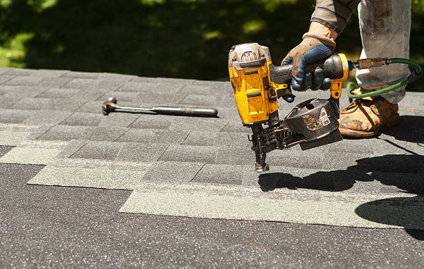 Best Roof Gutter Cleaning  in Greenville, VA